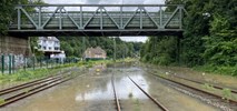 Katastrofalne powodzie w Niemczech. Już ponad 100 ofiar