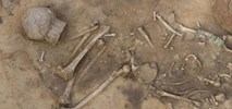 S7 Miechów-Szczepanowice. Wyjątkowe odkrycie archeologiczne 