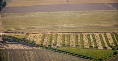 Dolny Śląsk: GDDKiA szuka wykonawcy badań archeologicznych