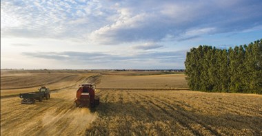 Bez silnego rolnictwa nie będziemy suwerenni. Raport i Kongres Klubu Jagiellońskiego