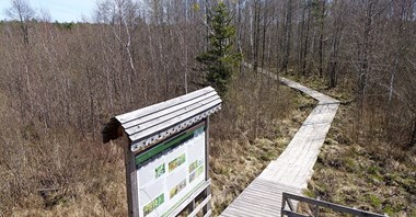 Plany drogowe na Podlasiu szkodzą Biebrzańskiemu Parku Narodowemu?